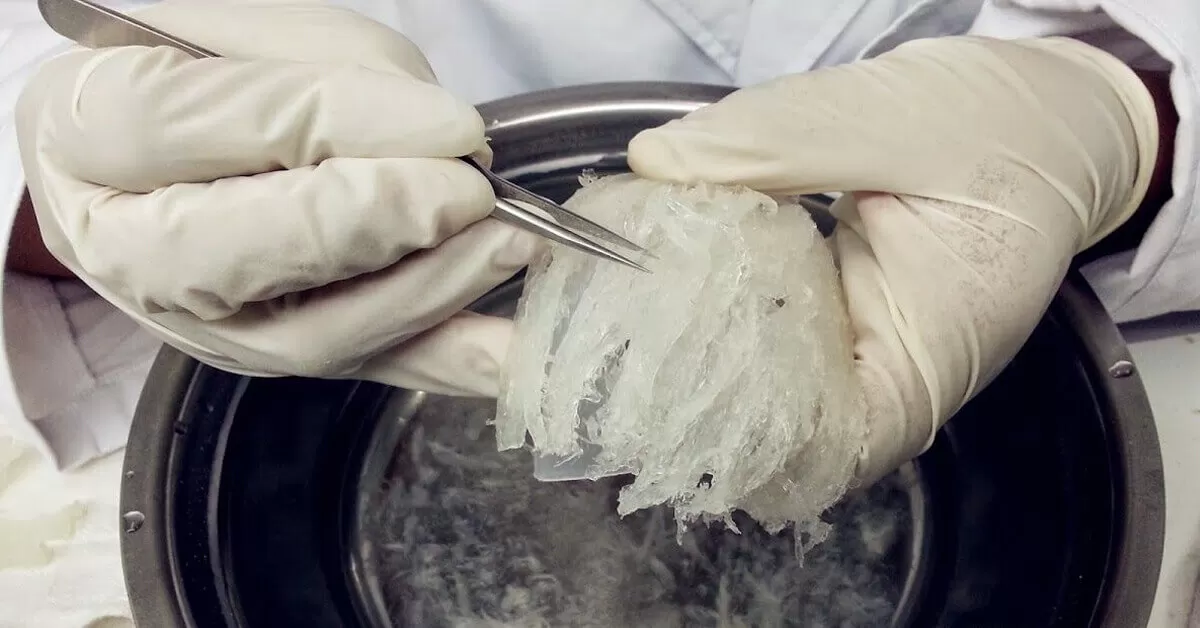  Hướng dẫn chi tiết c&aacute;ch l&agrave;m sạch l&ocirc;ng trong tổ yến th&ocirc; tại nh&agrave;