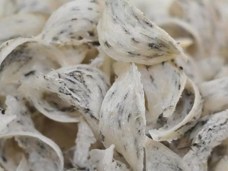 Yến nguy&ecirc;n chất l&agrave; g&igrave;?