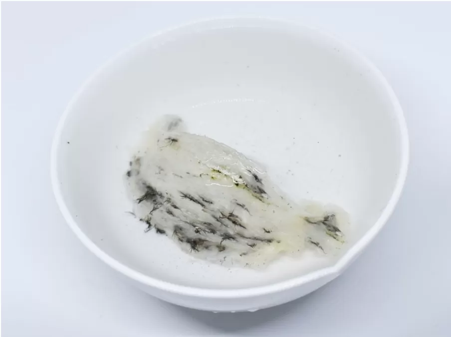 Tư vấn chọn yến th&ocirc; nguy&ecirc;n chất