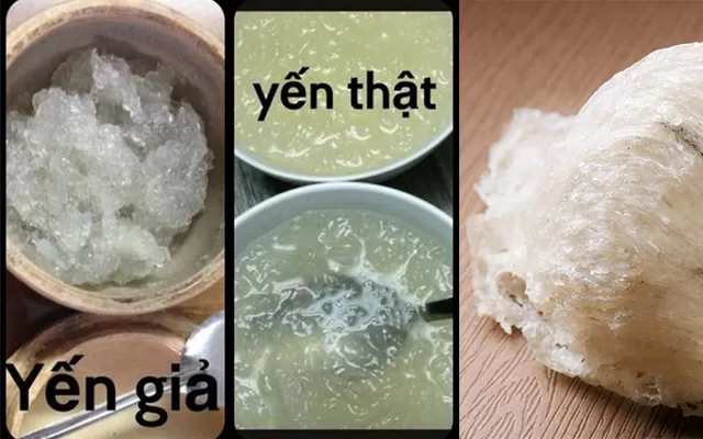 Ph&acirc;n biệt yến thật v&agrave; yến giả