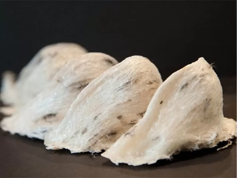 Yến nguy&ecirc;n chất l&agrave; g&igrave;?