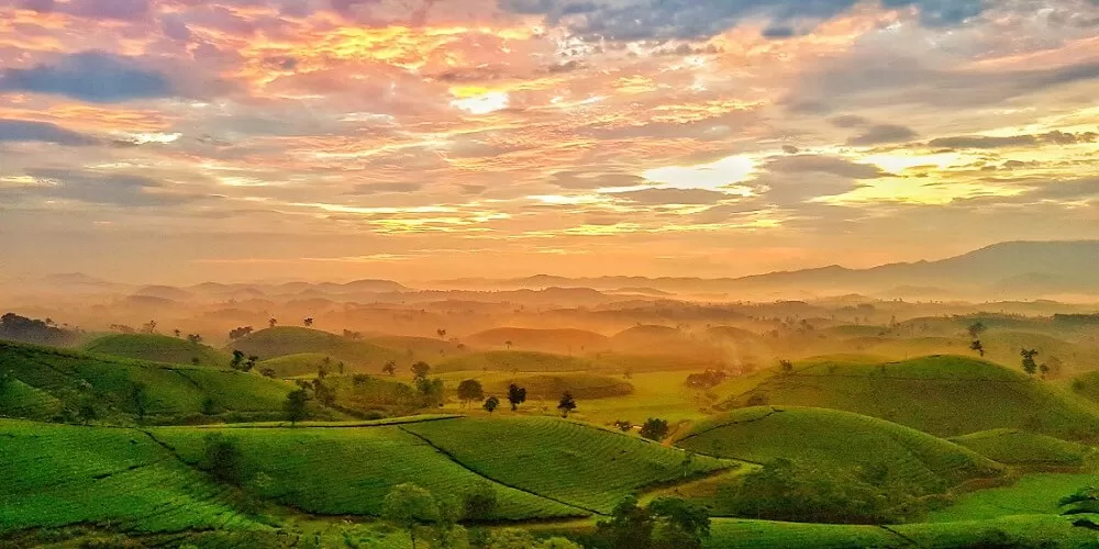 Top 5 địa điểm du lịch Ph&uacute; Thọ đ&aacute;ng để trải nghiệm - SAKOS.vn