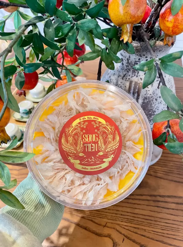 Yến Song Ti&ecirc;n yến chất lượng cao