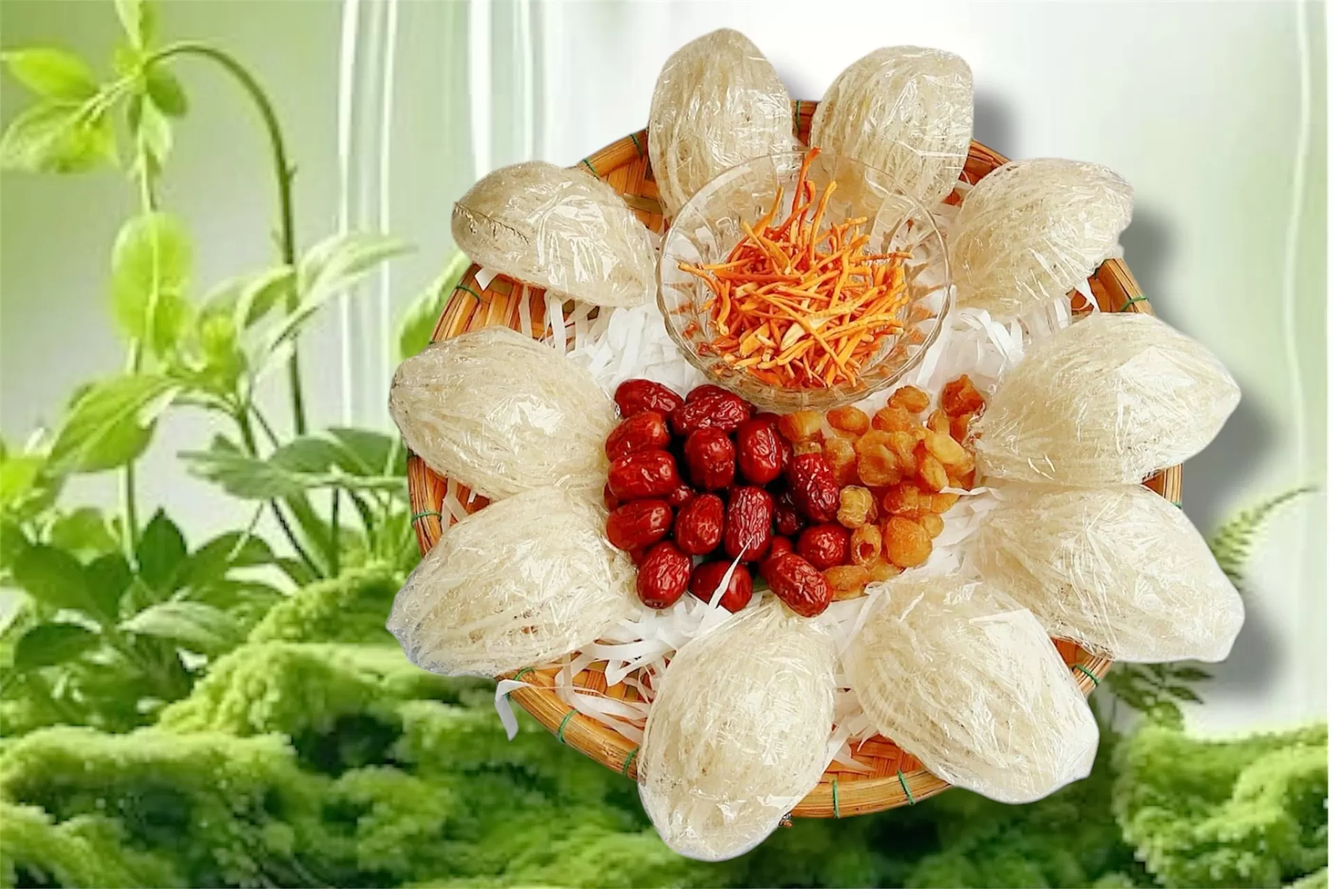 Yến cho người mới ốm dậy v&agrave; yến phục hồi sức khỏe từ Yến Song Ti&ecirc;n